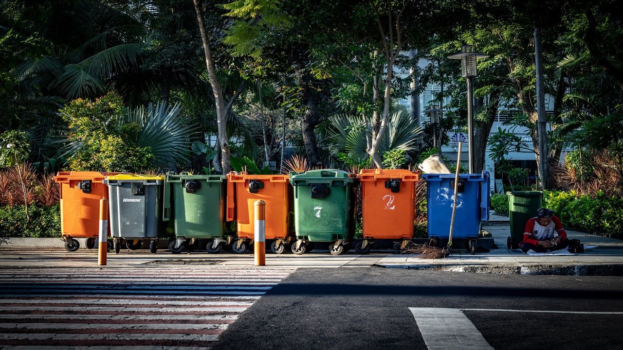 Beneficios y características de la gestión ambiental