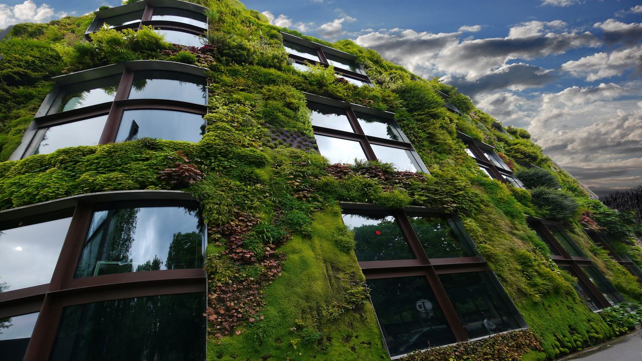 Razones para emprender un proyecto de casa ecológica