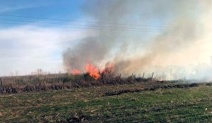 Prevención de incendios en el campo: ¿Qué debemos hacer? Prevenção de incêndio no campo: o que devemos fazer?
