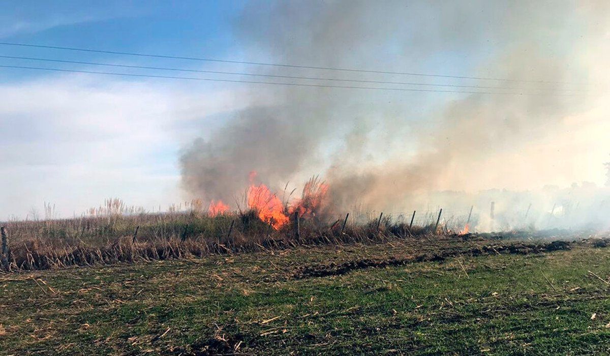 Prevención de incendios en el campo: ¿Qué debemos hacer? Prevenção de incêndio no campo: o que devemos fazer?